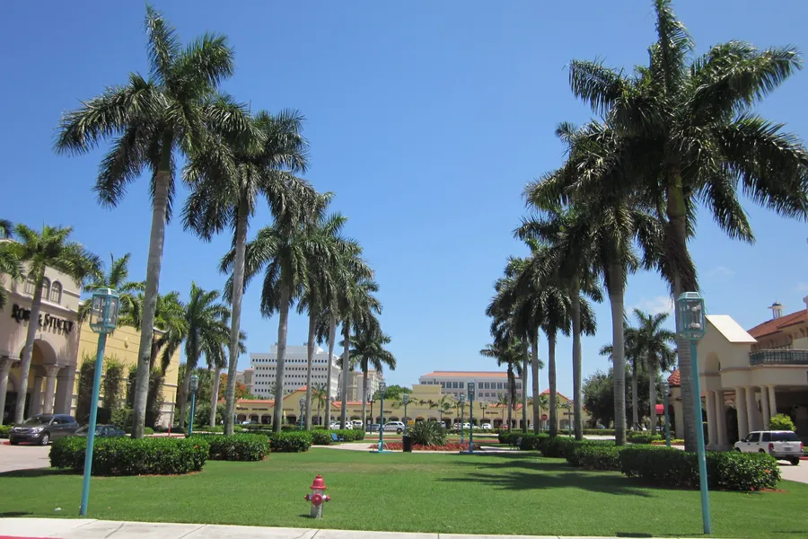 An avenue of tall royal palms over clipped lawn and hedges at Mizner Park, Boca Raton