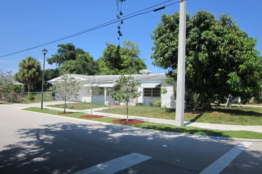Young trees in mulch rings on the grass strip between a sidewalk and the street, in front of a low white house in Pearl City, Boca Raton